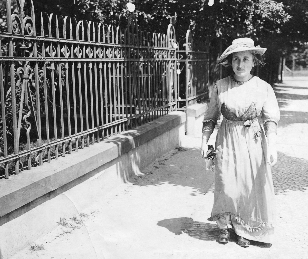 Rosa Luxemburg in&nbsp;London